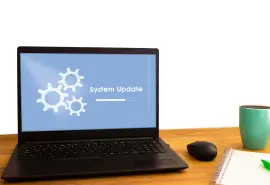 Recent Windows 11 24H2 Update Can Cause SSD Failure